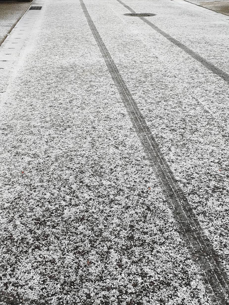 2023年11月25日（土）秋田市内で初雪観測